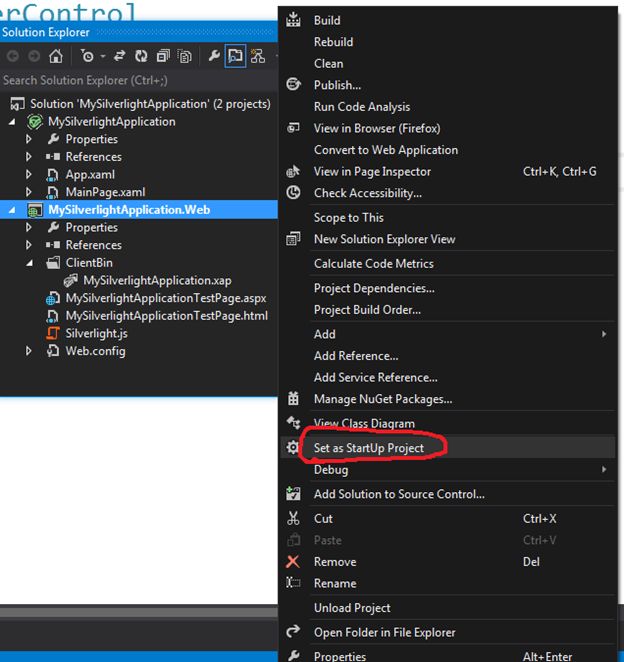 Web project as start project
